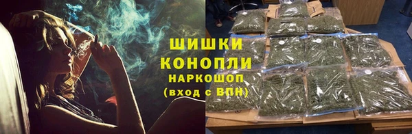 крисы Покачи